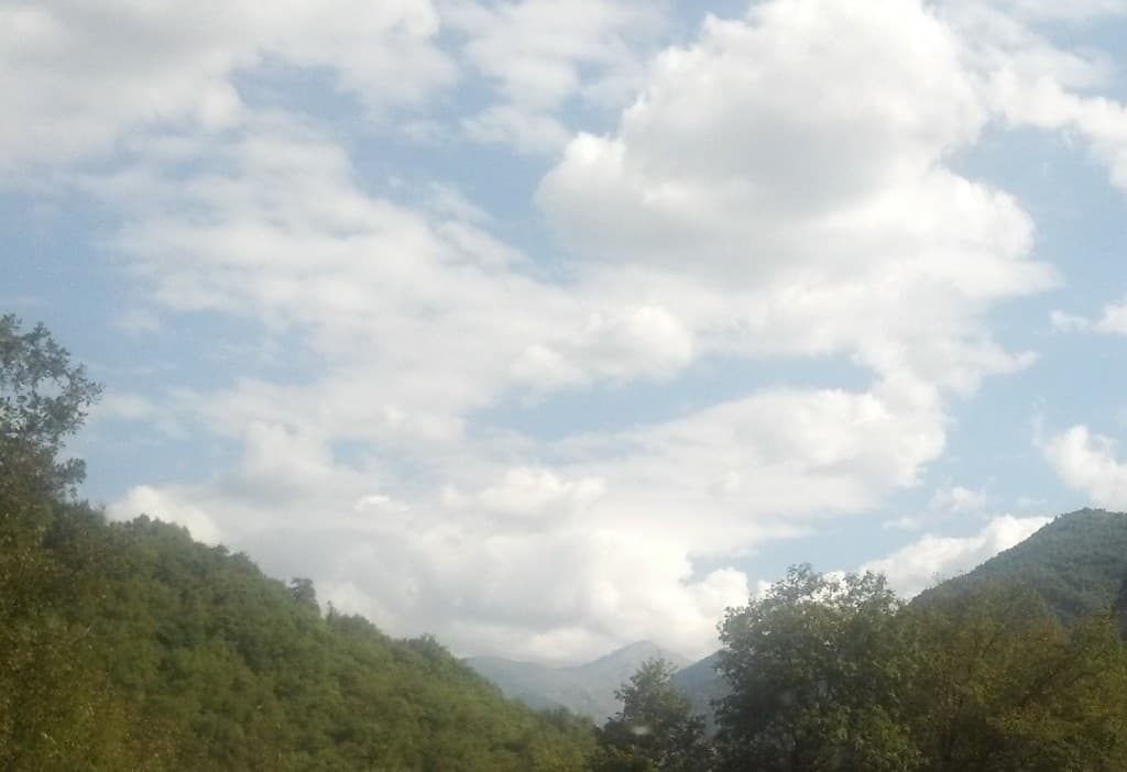 Matinée ensoleillée