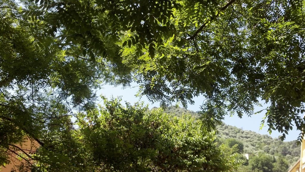 Un peu d'ombre pour se protéger du soleil