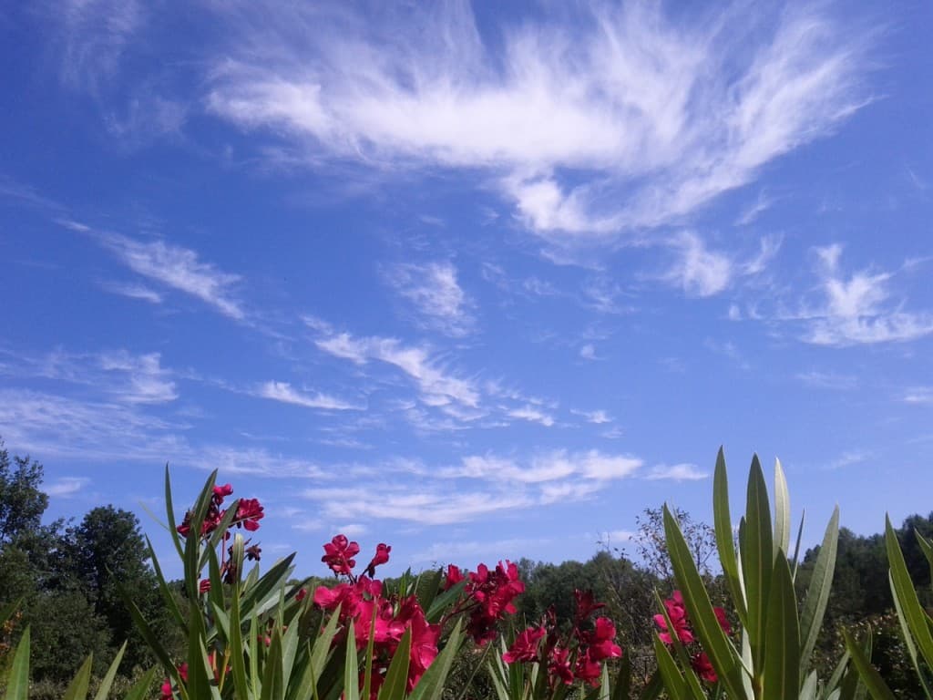 Jolis cirrus dans sud est