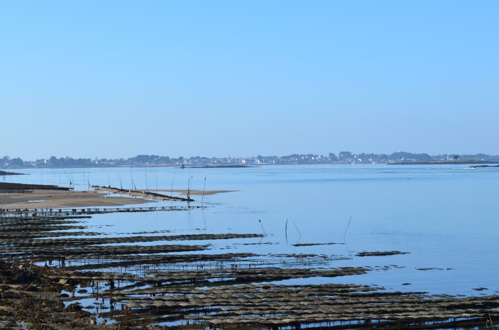 Golfe du Mobihan