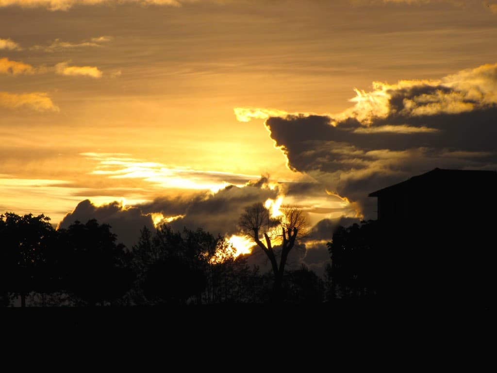 L'or du soir 