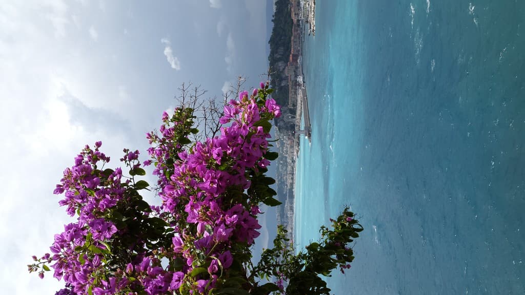 nice le port