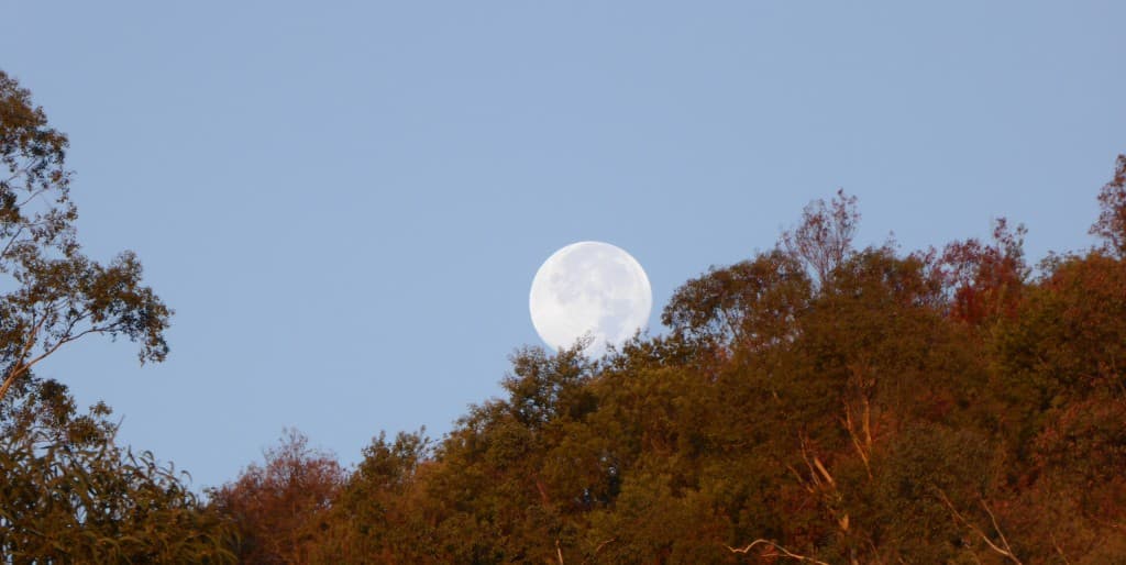 Un matin...La lune