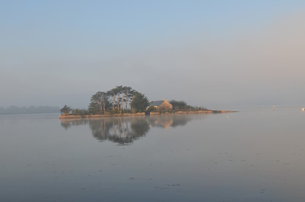 le brouillard se lève