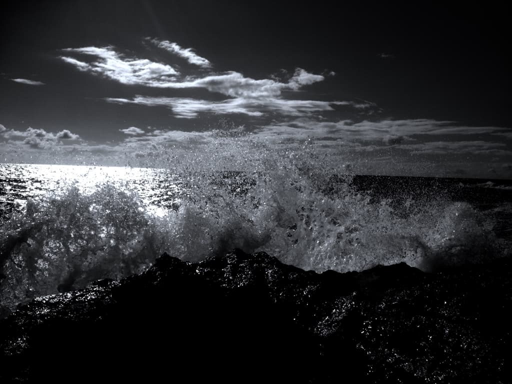 sauvage