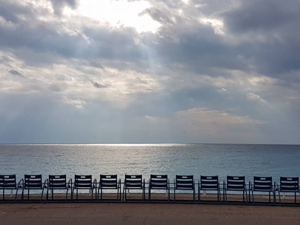 Grisouille sur les Chaises Bleues...