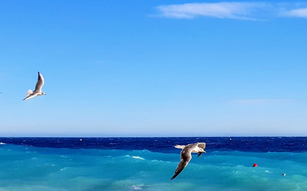 la mer