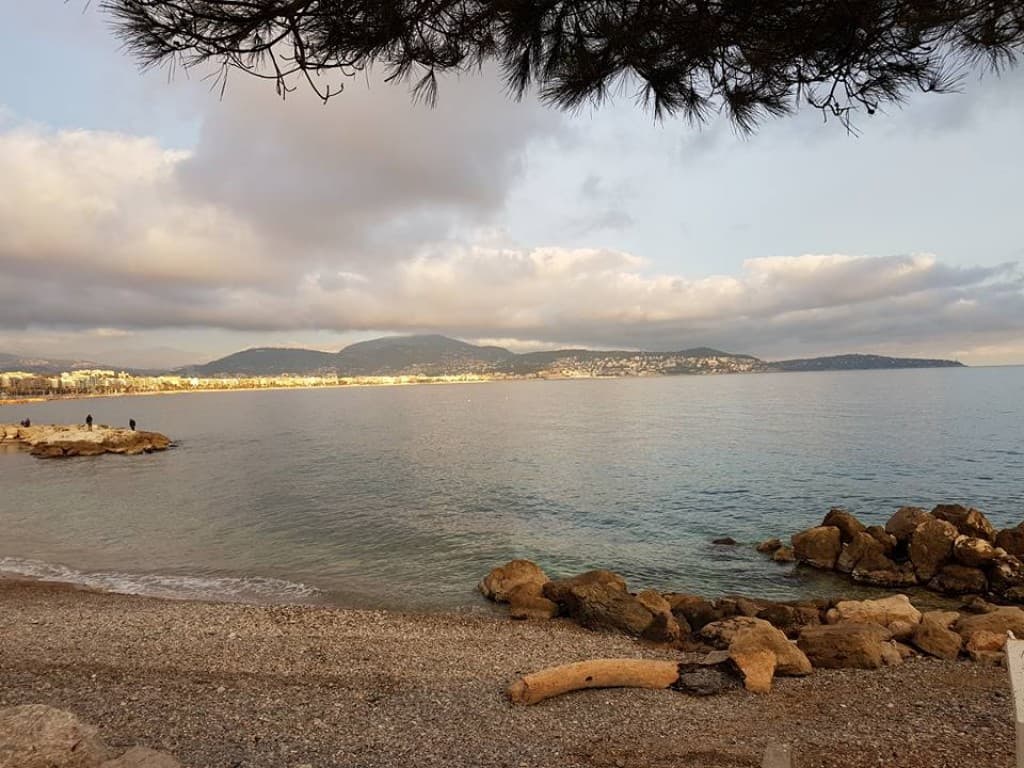 Port Carras