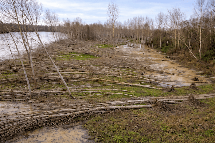 Le cauchemard de la tempête Klaus du 24 janvier 2009