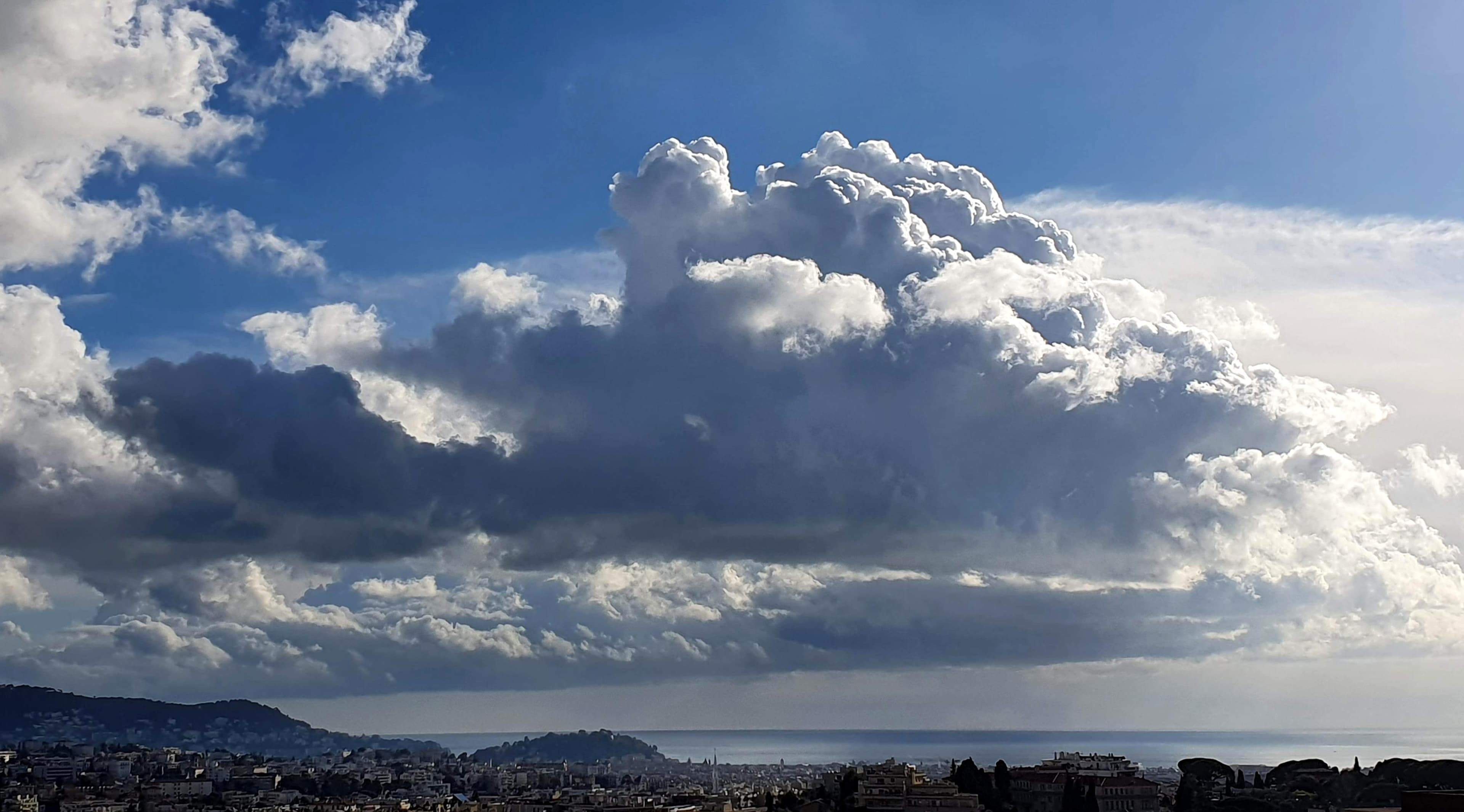 Beau gros solitaire sur la baie des Anges