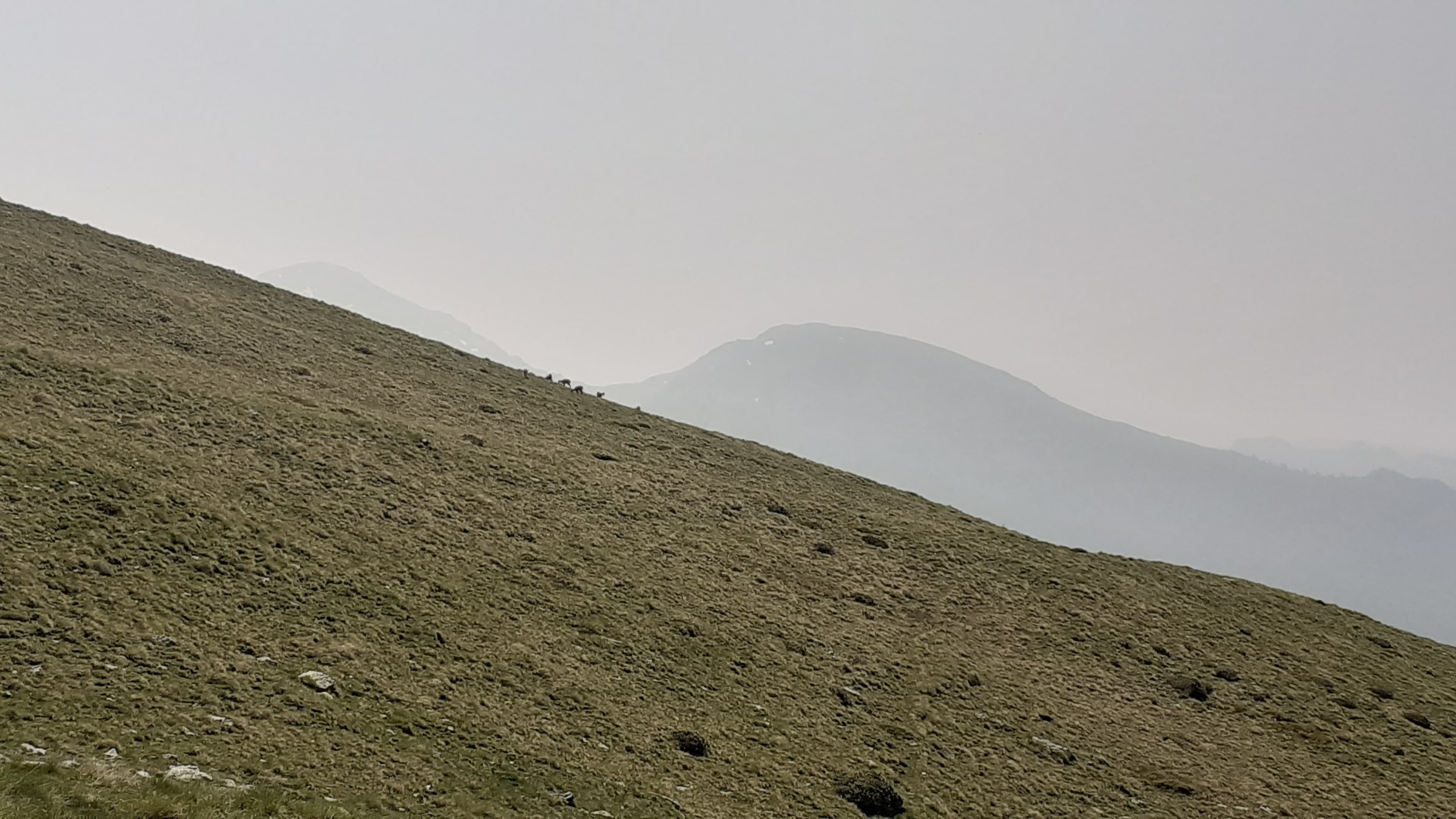 La fumée des incendies au Canada au sommet des Alpes