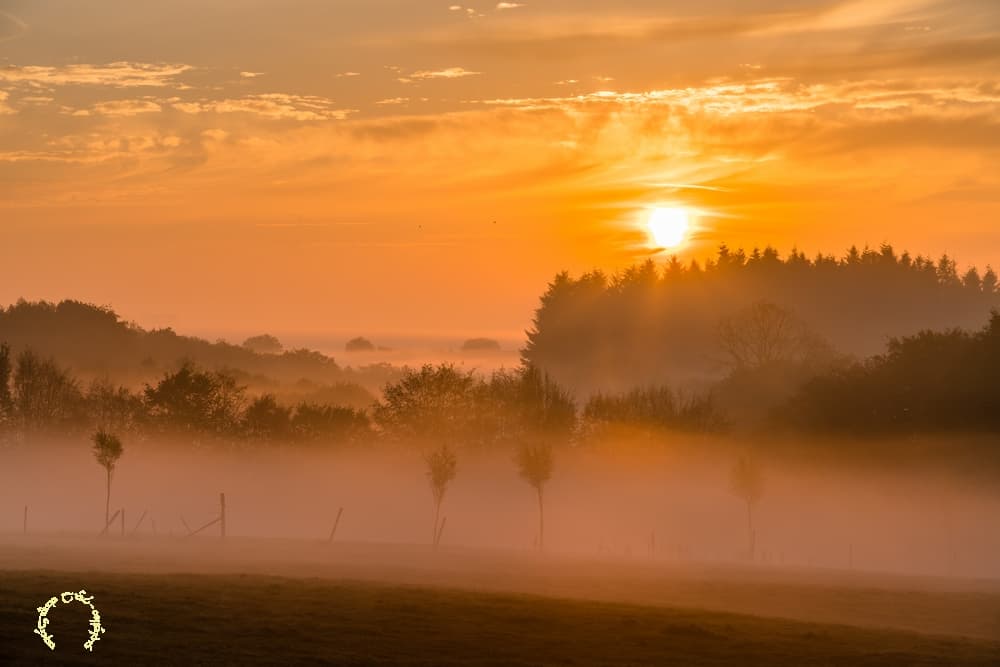 Flambée d'automne