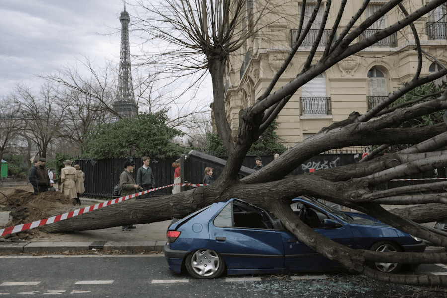 Image d'illustration pour Il y a 20 ans, les tempêtes Lothar et Martin dévastaient la France