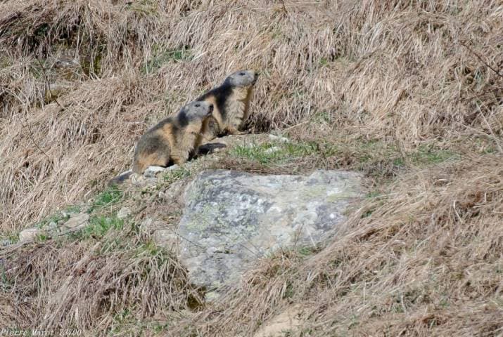 Image d'illustration pour TOP 10 des photos météo du mois d'avril