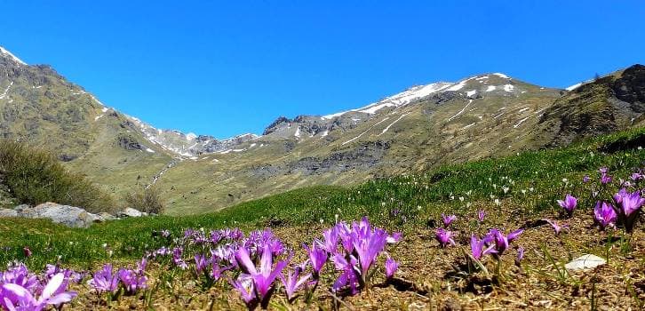 Image d'illustration pour TOP 10 des photos météo du mois d'avril