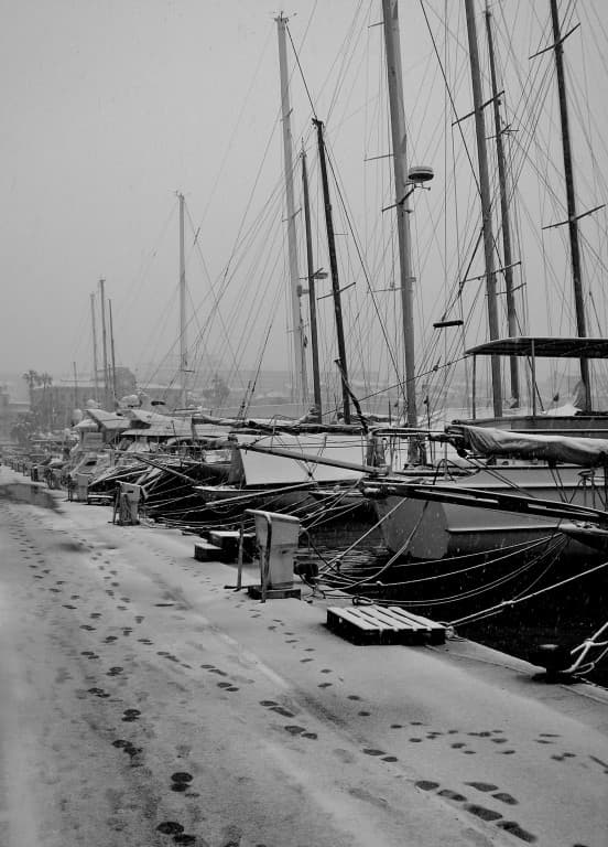le vieux port