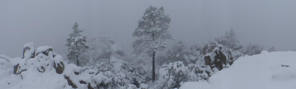 neige au Mont Vinaigre (Esterel)