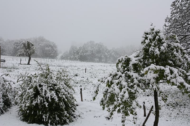 Image d'illustration pour BILAN DU PRINTEMPS 2013 : complètement pourri !