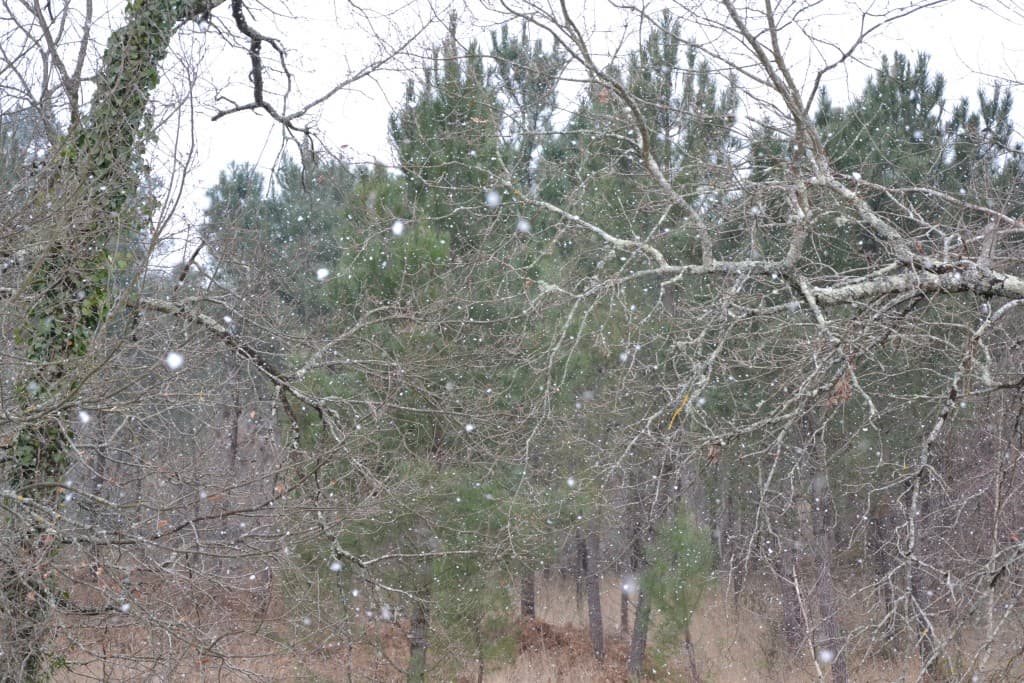 Image d'illustration pour BILAN FÉVRIER 2013 : froid marqué et neigeux