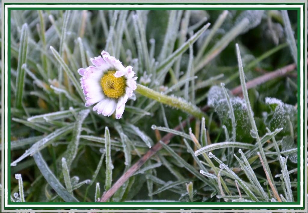 Image d'illustration pour Quelques manifestations hivernales en France et en Belgique